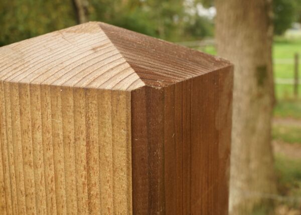 Houten paal nobifix met diamantkop detail -01